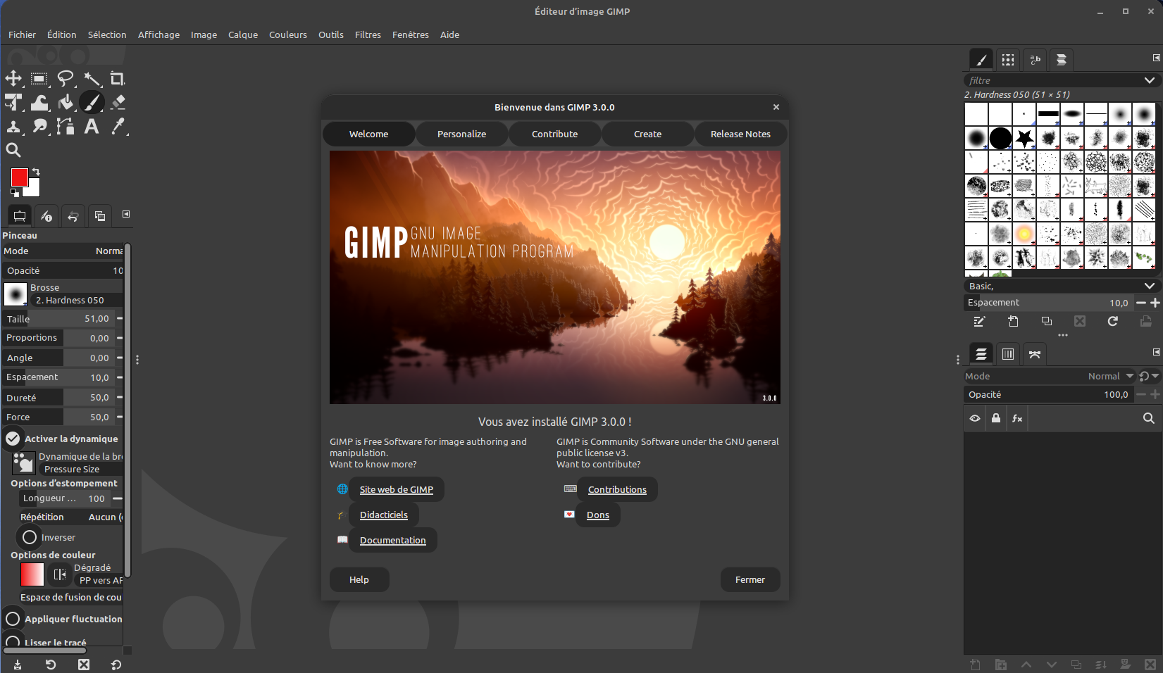 gimp